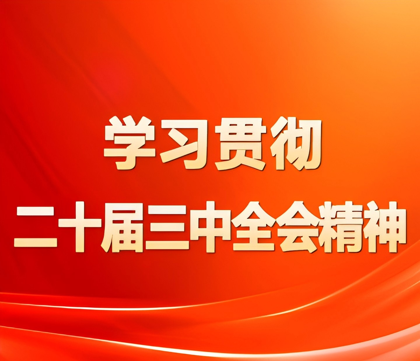 学习贯彻党的二十届三中全会精神